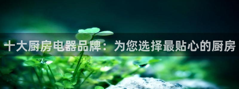 cq9电子板球狂热