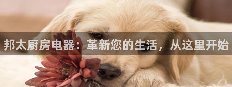 cq9电子游戏在线