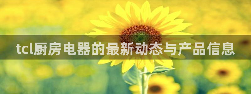 cq9电子试玩网