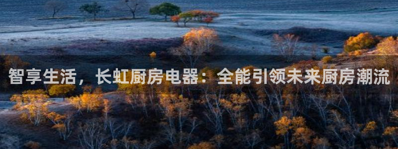 cq9电子有漏洞吗