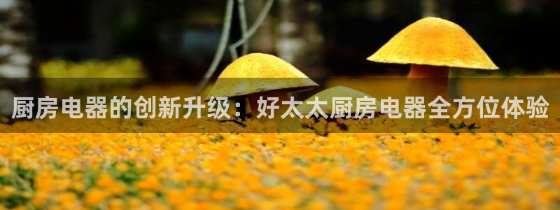 cq9传奇电子中奖图