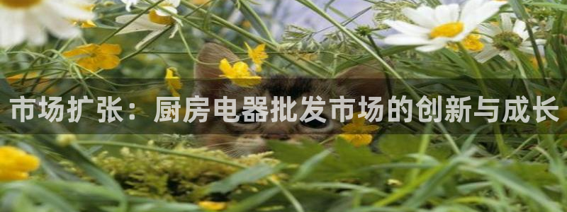 cq9电子试玩网