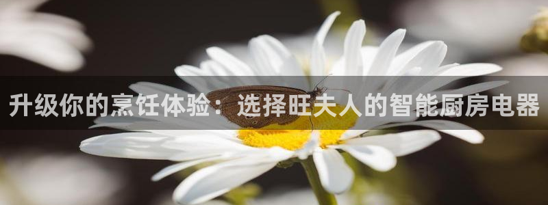 cq9传奇电子经验