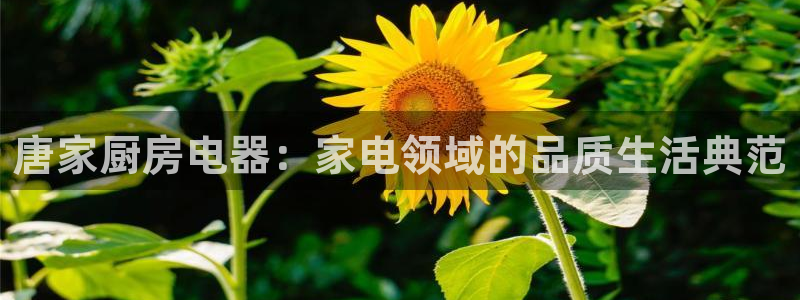cq9传奇电子游戏官方