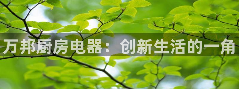 cq9电子有没有漏洞