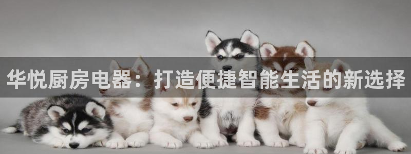 cq9电子传奇