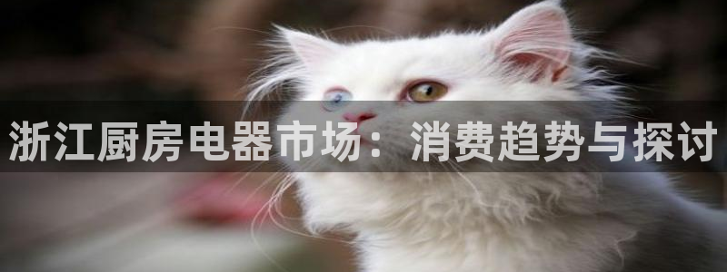 cq9电子极速赚钱