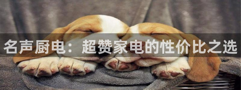 传奇电子舞cq9