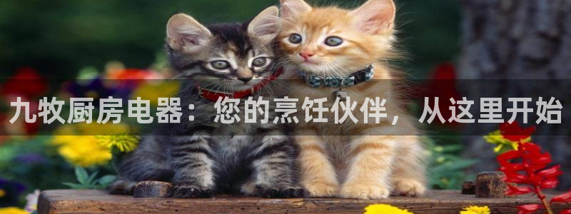 cq9电子排行榜