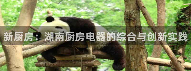 cq9电子讲解