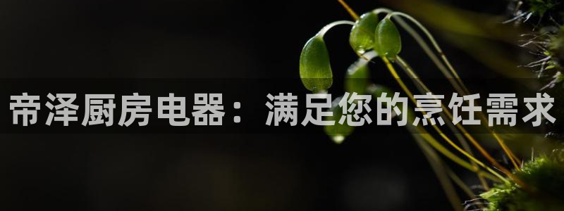 cq9传奇电子演示