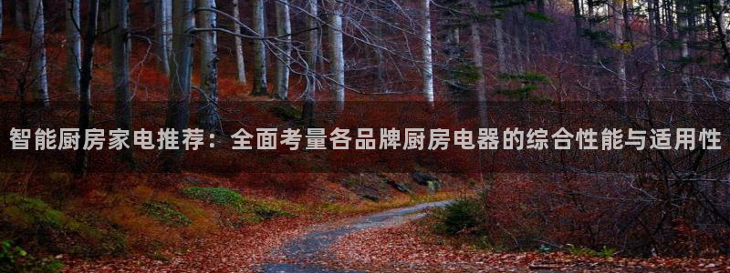 电子最新cq9游戏视频