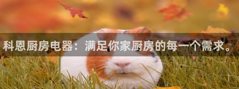 电子cq9辅助脚本