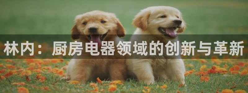 cq9电子游戏玩不得