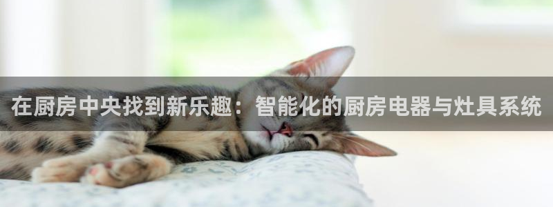 传奇cq9电子在线官网
