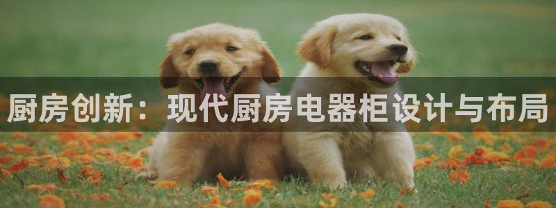 cq9电子野狼传说