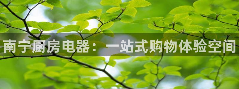 cq9传奇电子白菜网