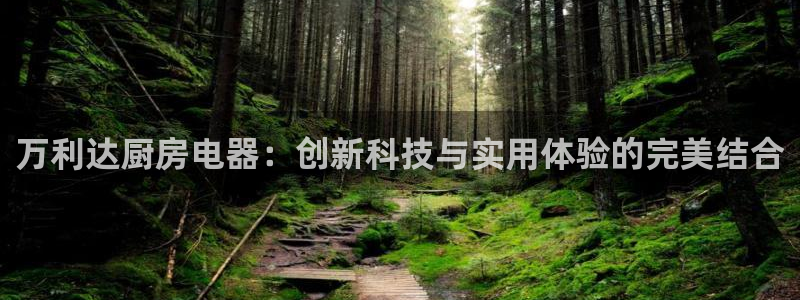 cq9传奇电子舞曲
