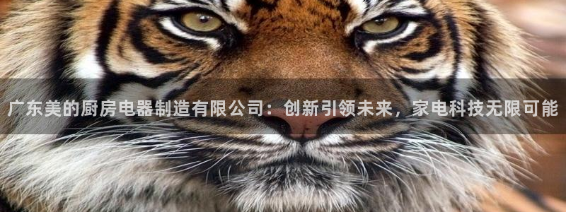 cq9电子在线试玩