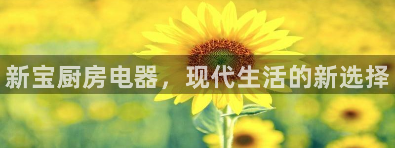 cq9电子导弹