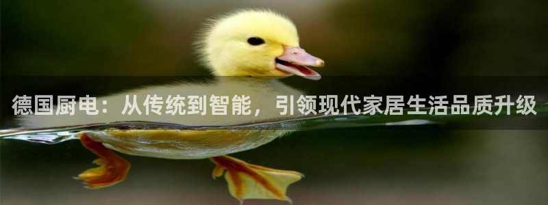 电子龙舞cq9