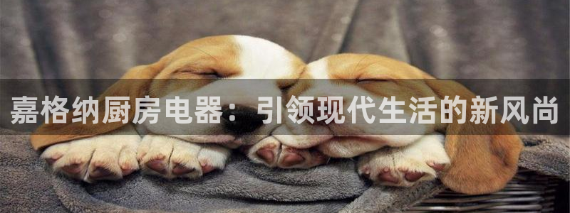 cq9传奇电子系列