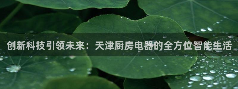 cq9电子维护多久
